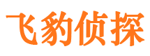 博野婚外情调查取证